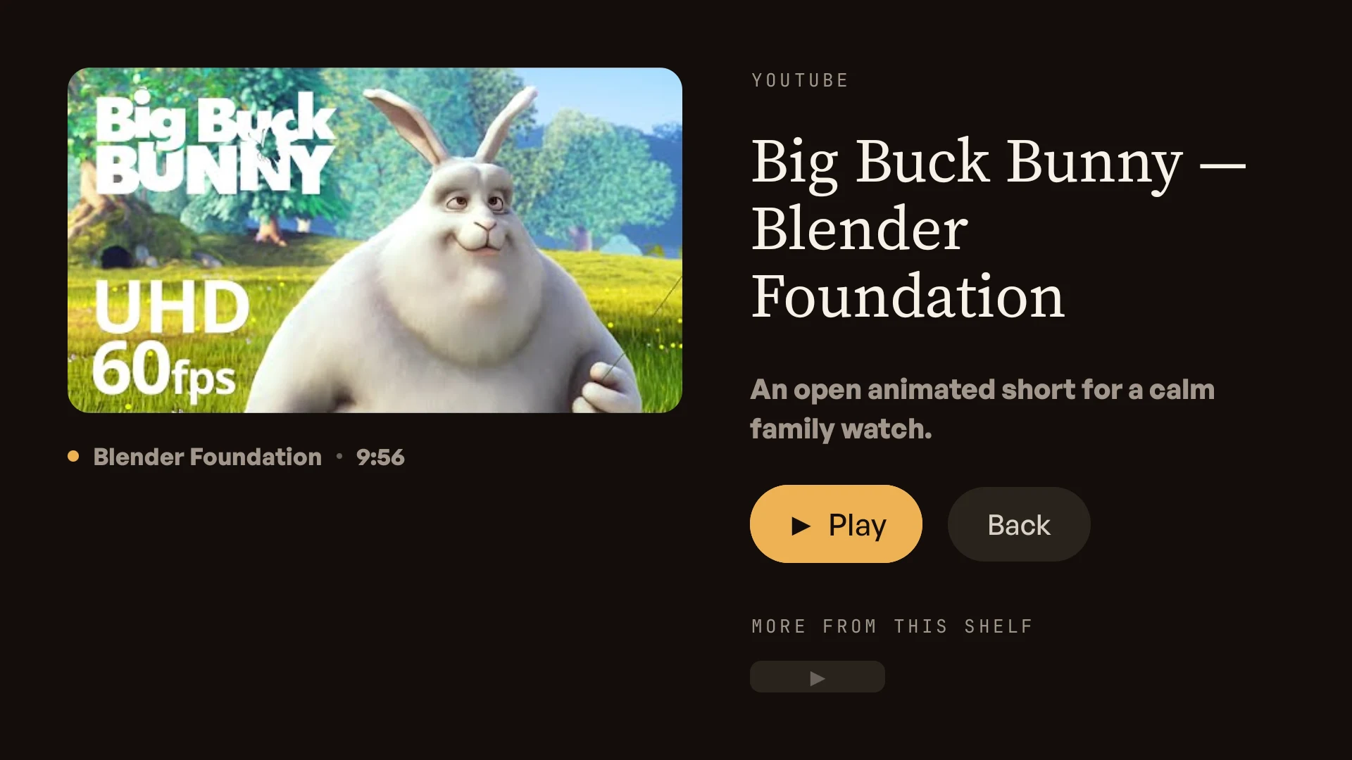 Android TV content detail